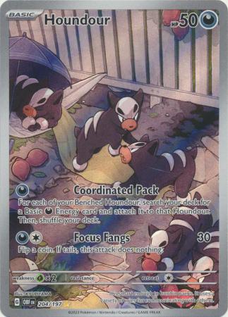 Houndour - 204/197 - Illustration Rare