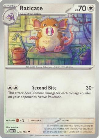 Raticate - 020/165 - Uncommon