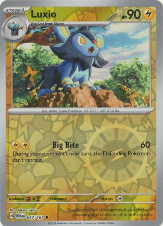 Luxio - 067/167 - Common Reverse Holo