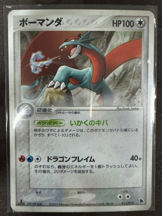 Salamence - 011/019  - Holo 1st Edition