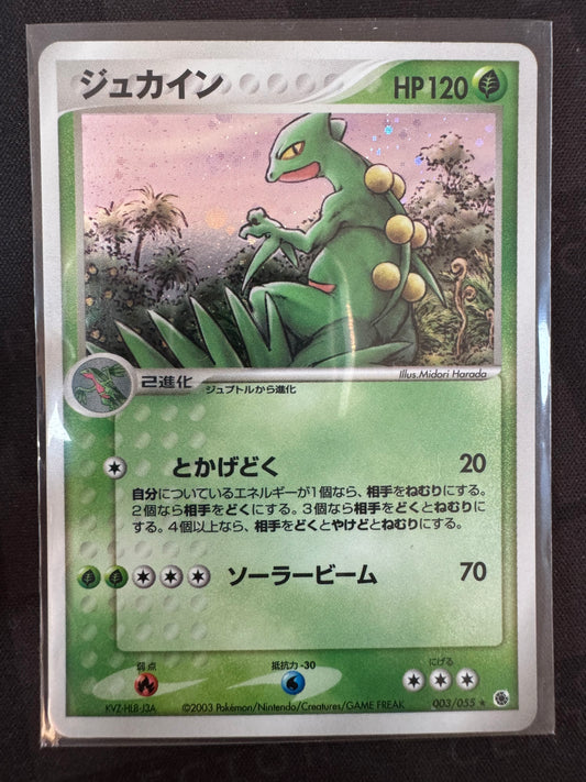 Sceptile - #DPBP304 - Holo