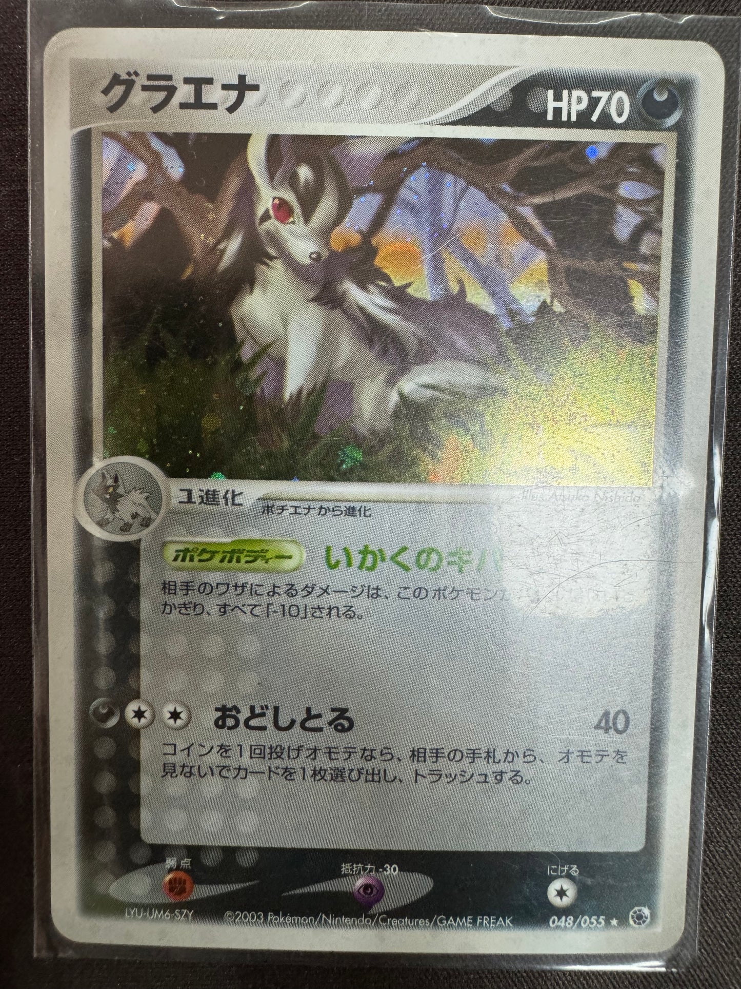 Mightyena - 048/055  - Holo