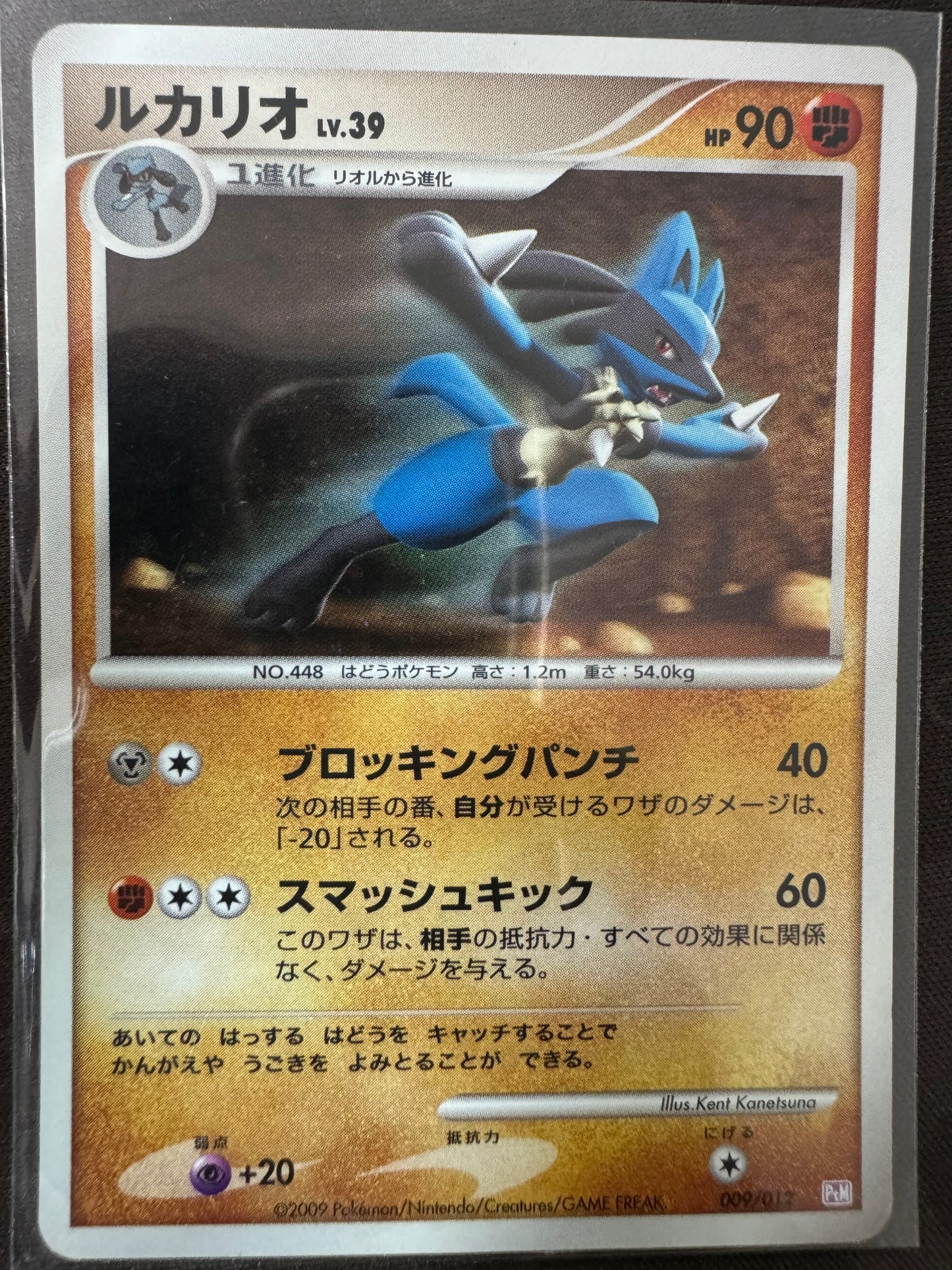 Lucario - 009/012 - Holo