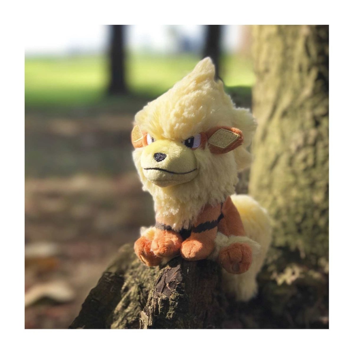 Pokémon Center - Sitting Cutties: Arcanine