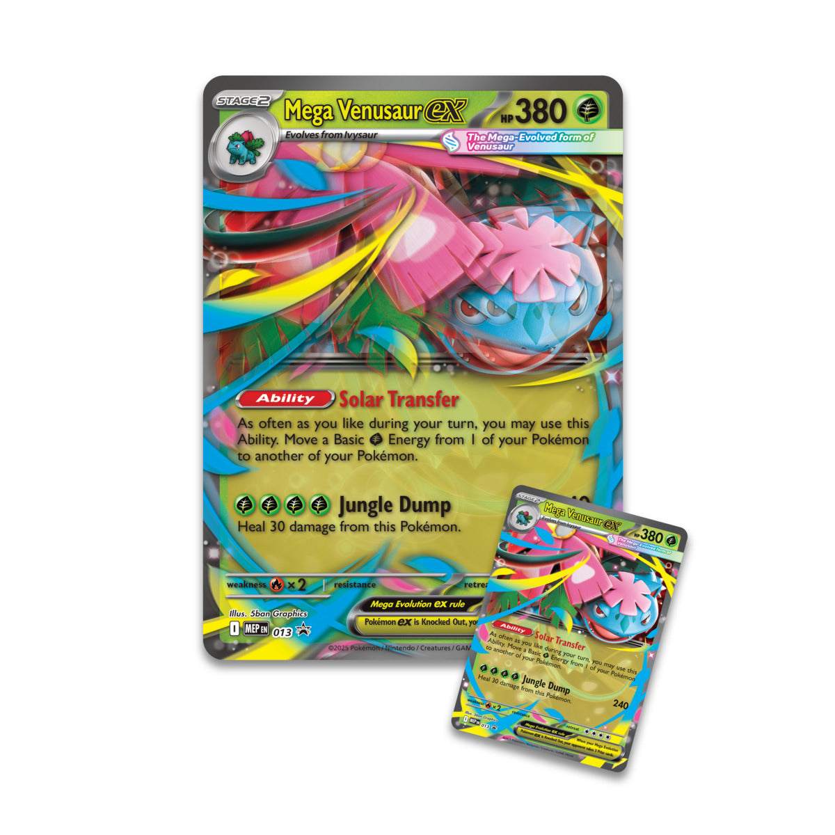 Mega Venusaur ex Premium Collection - Inglés
